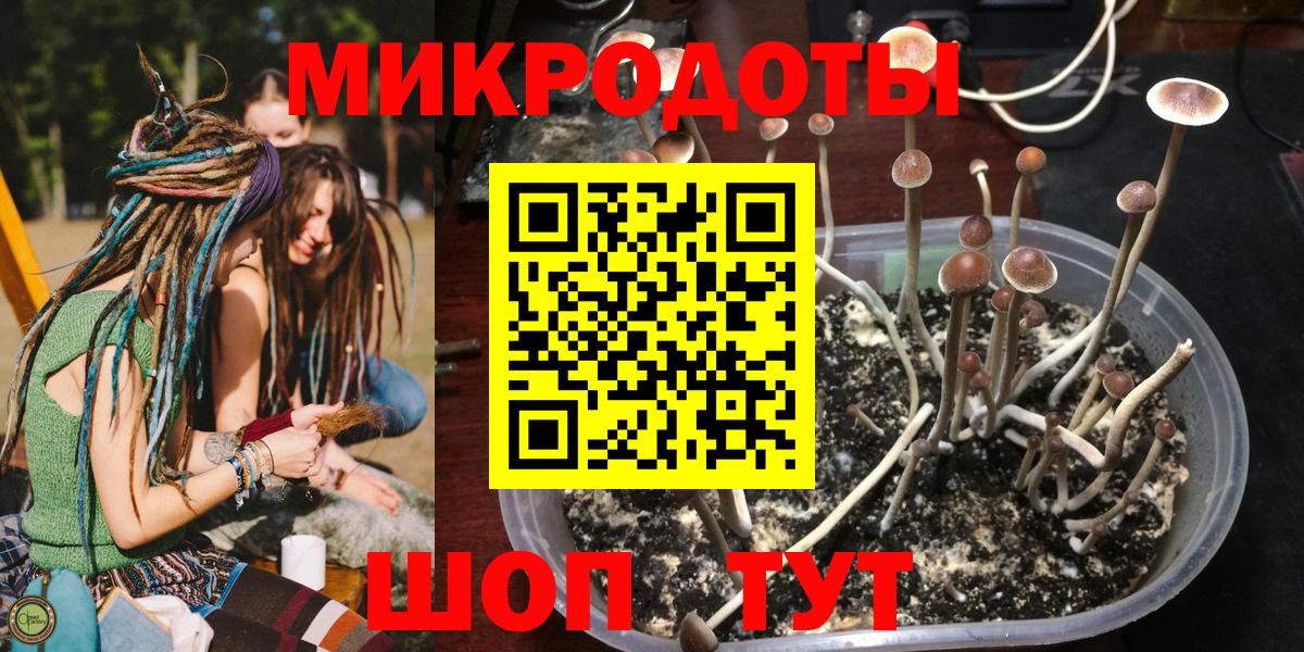 Псилоцибиновые грибы Magic Shrooms Королёв