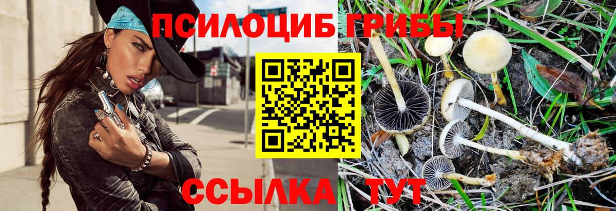 Королёв  Галлюциногенные грибы GOLDEN TEACHER  Псилоцибиновые грибы мухоморы  Вход с VPN 